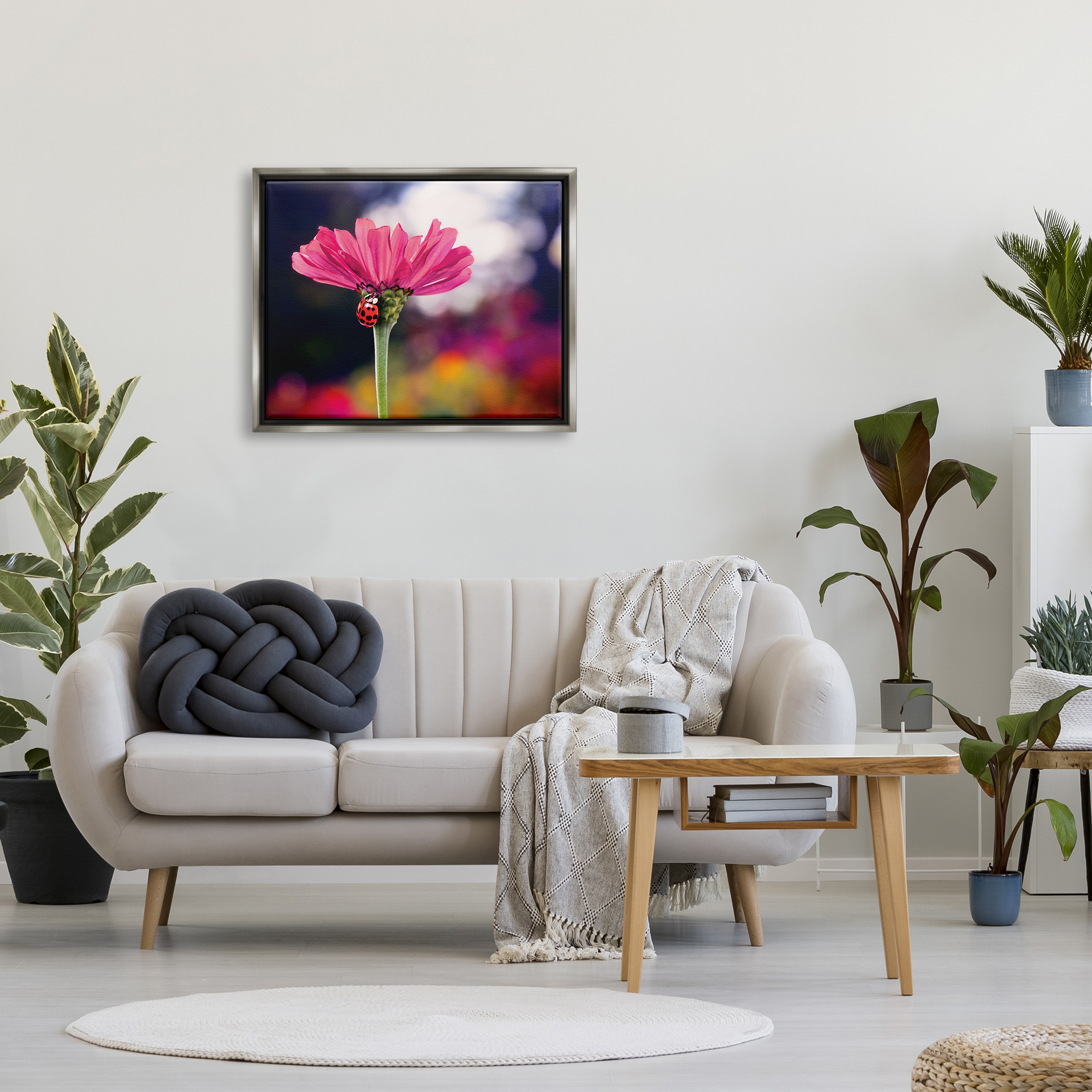 Stupell Industries Ladybug with Pink Flower Animals & Insects Photography Gray Floater Framed Art Print Wall Art, 31 x 25