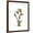 Brown Frame, variant on Art.com Gentian Triplets Art Print by Albert Koetsier, Brown Frame Wall Art, 23" x 29"