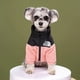 thumbnail image 1 of Winter Warm Thicken Pet Dog Jacket Waterproof Dog Clothes for Small Medium Dogs Puppy Coat Chihuahua French Bulldog Pug Clothing ShopWise Round, 1 of 10