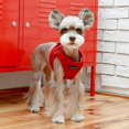 thumbnail image 5 of PUPPIA International PUAH305WN3L Soft Harness B Vest, Large, 5 of 5