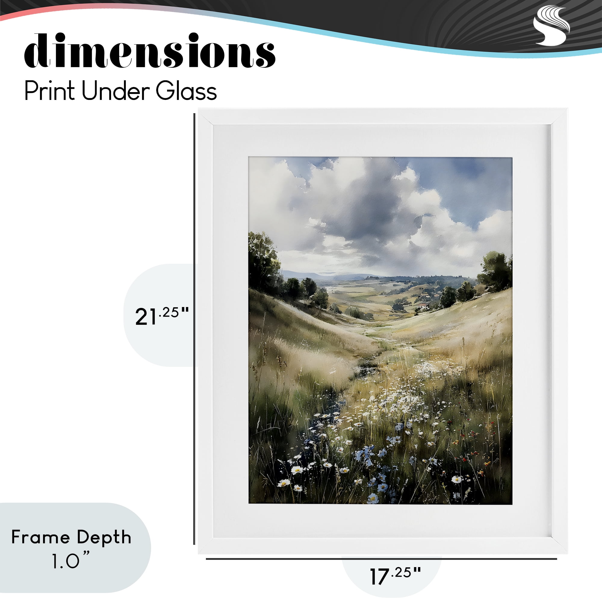 Stupell Industries Floral Valley of Wild Daisies White Framed Print Under Glass, design by Franklyn Gregory