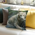 thumbnail image 3 of BANET Throw Pillow Cover Animal Wild Decor Lumbar Pillow Case Cushion for Sofa Couch Bed Standard Queen 24x24in, 3 of 5