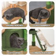 thumbnail image 6 of MoNiBloom Cat Tower Cactus, 42 Inches Cat Tree with Sisal Scratching Posts, Cozy Hammock and Bed Perch and Condo for Kittens, Green, 6 of 8