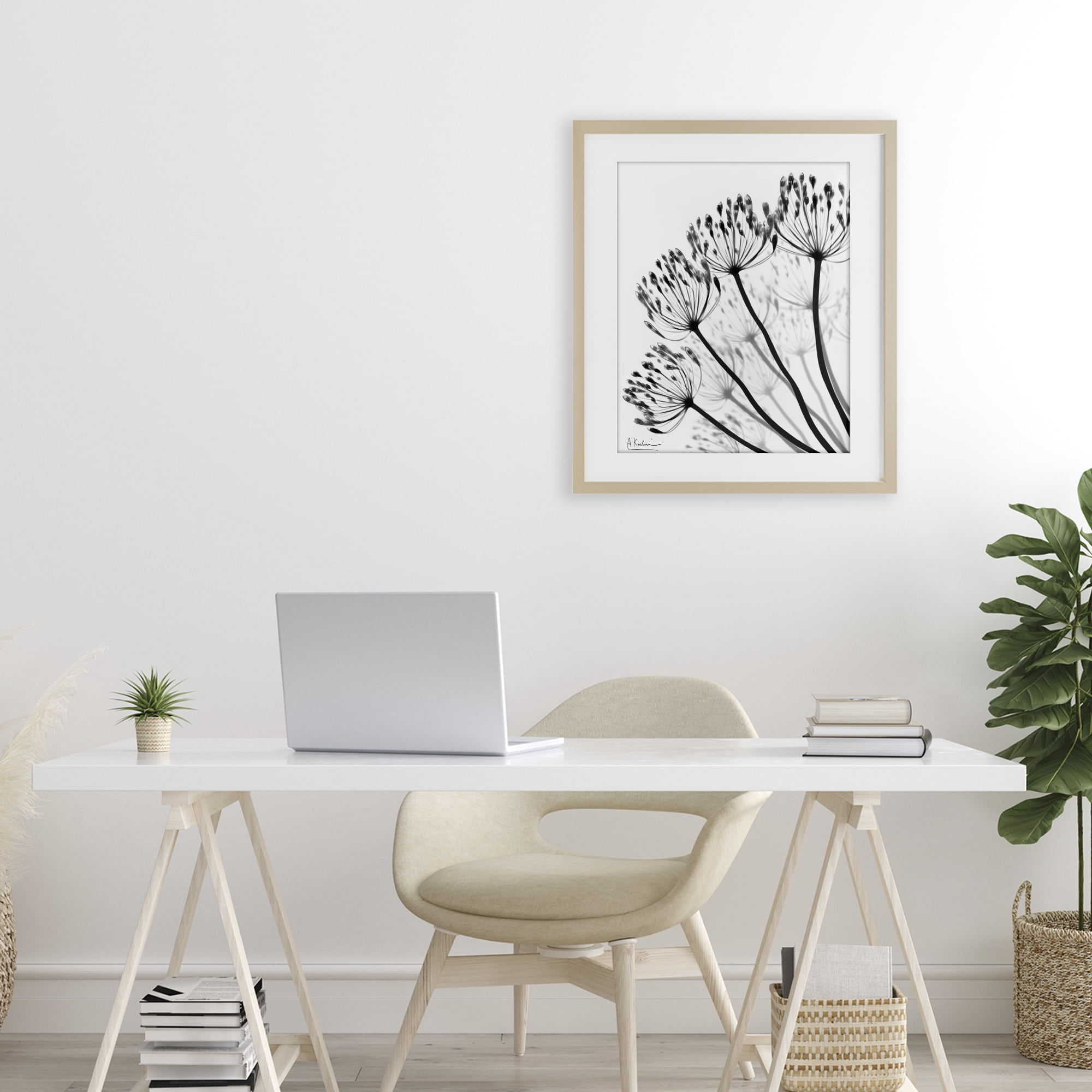 Stupell Industries Floral Fan Dandelions Birch Framed Print Under Glass, design by Albert Koetsier