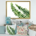 thumbnail image 3 of Designart 'Fern Plant Leaves Detail I' Farmhouse Framed Art Print, 3 of 4