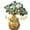 Green, variant on Citrine Money Tree Feng Shui decoration Wealth Success Bonsai Tree Home Office decor Good Luck Charm Prosperity ornament