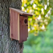 Pennington Red Cedar Bluebird Wild Bird House, 1 Pack