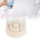 thumbnail image 5 of Soporte para fresa de plástico redondo con ranuras para 48 agujeros, soporte para cabezal de molienda, instrumento de laboratorio Dental, 5 of 8