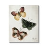 Stupell Industries Trio of Butterflies Farmhouse Patterned Wings Charming Insects, 24 x 30, Design by Jackie Quigley