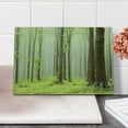 thumbnail image 2 of Woodland Cutting Board, Misty Springtime Beech Forest Photo Taken in the Mountains of Central Europe, Decorative Tempered Glass Cutting and Serving Board, Small Size, Brown Green, by Ambesonne, 2 of 5