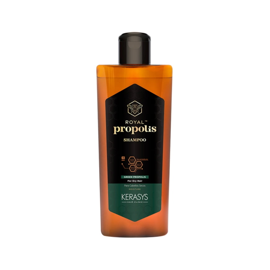 Shampoo Coreano Para Cabello Seco Y Encrespado Con Propóleo Knasta Chile