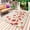 Light Brown, variant on Red Poppy Outdoor Rug for Patio/Deck/Porch, Non-Slip Large Area Rug 6 x 9 Ft, Spring Summer Flowers Botanical Black Indoor Outdoor Rugs Washable Area Rugs, Reversible Camping Rug Carpet Runner