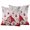 Red, variant on Vintage Map Waterproof Outdoor Pillow Covers 16''x16'' Set of 2, Patio Furniture Cushion Covers for Chairs, Middle Century Farmhouse Natural Landscape Decorative Pillow Cases for Garden/Pool/Beach