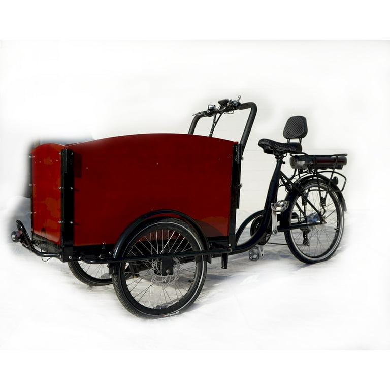 Cargo hotsell trike bike