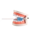 thumbnail image 5 of Disposable Oral Swabs,sterile Sponge Mouth Swabs,individually Wrapped (100pcs,pink), 5 of 5
