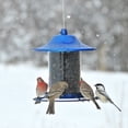 thumbnail image 2 of Perky-Pet Blue Panorama Wild Bird Seed Feeder - 2 lb Capacity, 2 of 12