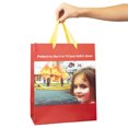 thumbnail image 3 of What Do You Meme?® Celebrate Large Bag (Disaster Girl), 3 of 3