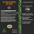 thumbnail image 3 of Operation Good Boy Probiotic Supplement for Dogs, Gut Support, Beef Liver Flavor Soft Chews, 60 Ct, 3 of 10