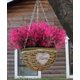 thumbnail image 4 of Flores artificiales RECUTMS de lavanda sintética, 8 paquetes (fucsia), 4 of 7