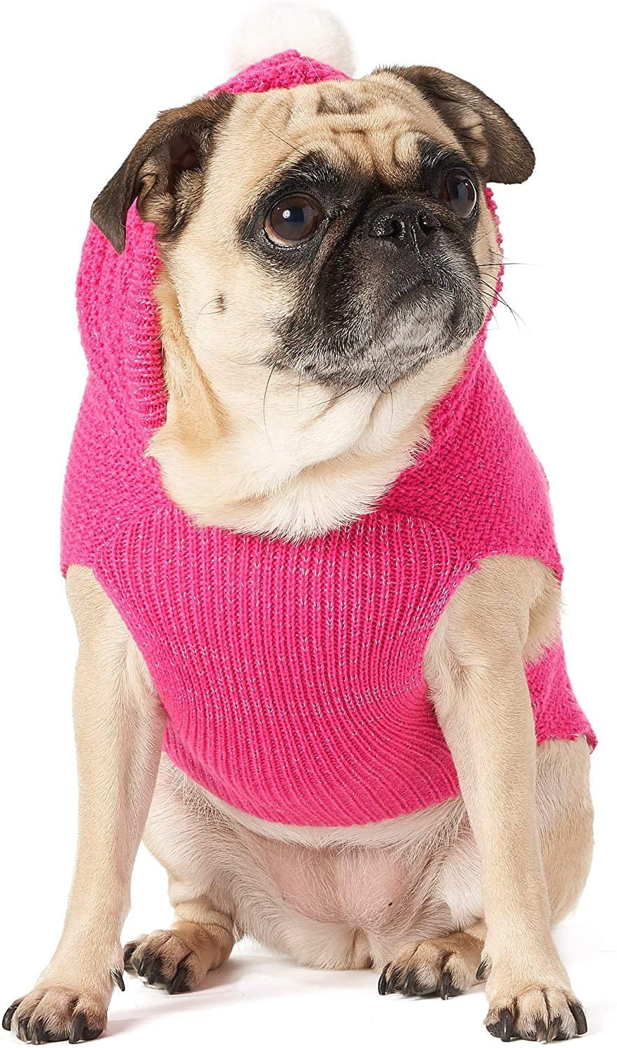 friends forever dog sweater