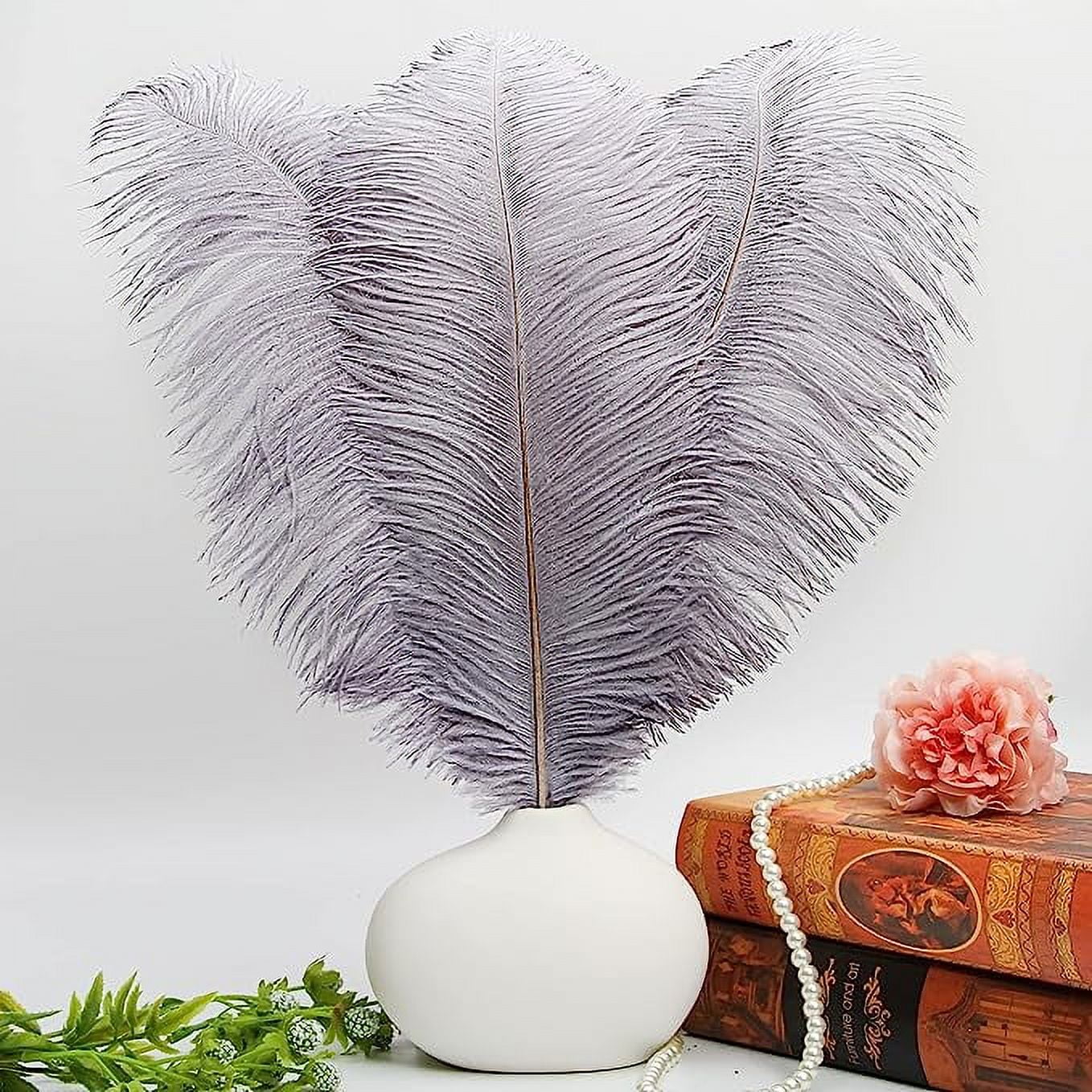 NAMZI 12pcs Gray Bulk Natural Ostrich Feathers 16-18Inch (40cm-45cm), Perfect for Wedding, Party Centerpieces, Easter & Home Decoration