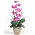 thumbnail image 1 of Nearly Natural 1016-OR Orchidée en Soie Phalaenopsis à Tige Unique, 1 of 2