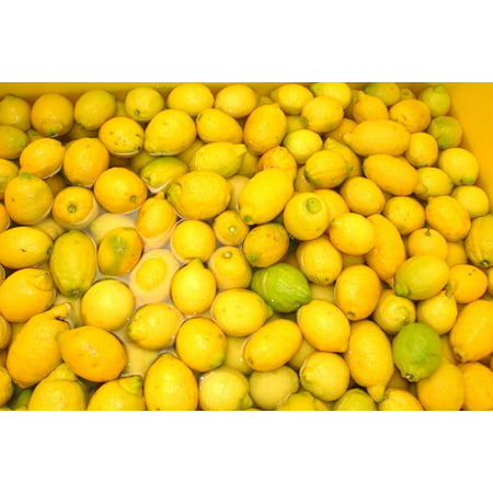 LAMINATED POSTER Fruit Sorrento Lemons Italy Limoncello Passion Poster Print 24 x