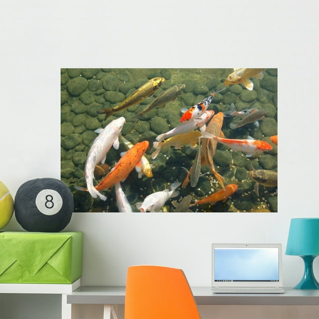 Koi Fish Wall Mural by Wallmonkeys Peel and Stick Graphic (36 in W x 24