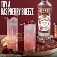 thumbnail image 4 of Smirnoff Raspberry (Vodka Infused With Natural Flavors), 375 mL PET Bottle, 30% ABV, 4 of 9