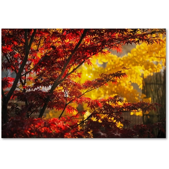 Trademark Fine Art "Transits" Canvas Art by Philippe Sainte-Laudy