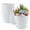 White, variant on FOUKUS 6 inch Plastic Plant Pots: 5 Pack Indoor Planters with Drainage and Tray Outdoor Flower Pots, Multicolor