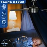 DEXTRUS 48 Black LED Downrod Mount Indoor/Outdoor Ceiling Fan with Remote Control