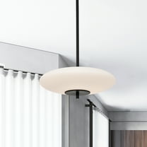 Caio 15.7 in. 1-Light Indoor Matte Black Finish Pendant Light