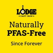 Lodge 8 Seasoned Cast Iron Skillet