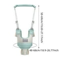 thumbnail image 2 of Early Education Toys Baby Walking Harness Handheld Baby Assistant Belt Walking Trainer Adjustable Learning Helper, 2 of 5