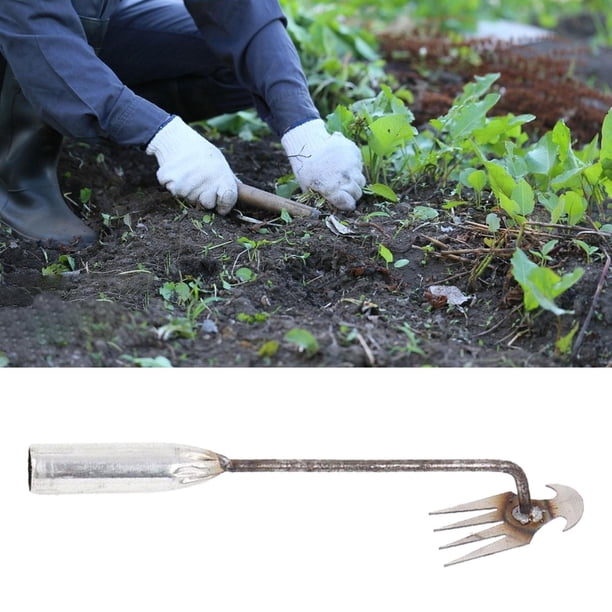 Herramienta de mano para jardín, ligera, con mango largo, portátil, manual, para deshierbar 30 centimetros Cola removedor de malezas