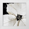 thumbnail image 1 of Sommers, Mindy 12x12 White Modern Wood Framed Museum Art Print Titled - White Poinsettia, 1 of 4