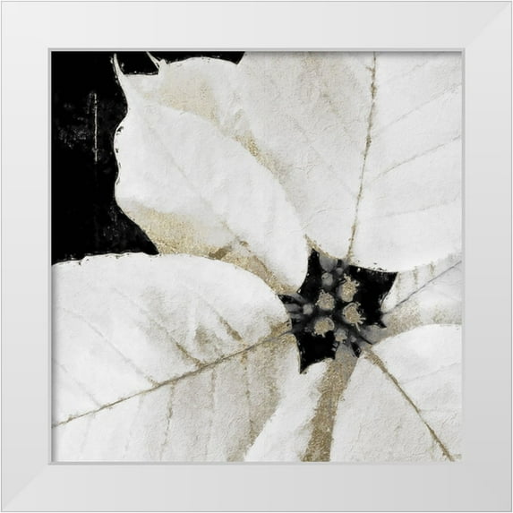 Sommers, Mindy 12x12 White Modern Wood Framed Museum Art Print Titled - White Poinsettia