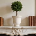 thumbnail image 4 of ZZHZGZ on Sale White Pedestal with Beaded Rim for Indoor Outdoor Display, 4 of 6