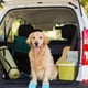 thumbnail image 2 of Zapatos Para Perros, Sandalias Transpirables Para Perros Con Suela Antideslizante Para Perros Monstrate PT002371-04, 2 of 6
