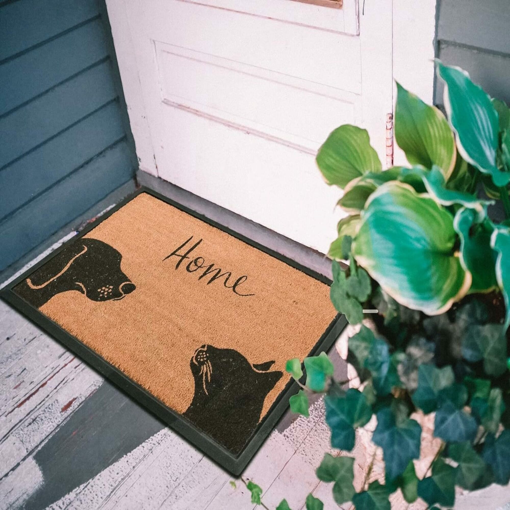 4 Cats & Dogs: Rectangle Core Refill for 24 x 36" Convertible Entrance Mat, Two Pets & Home