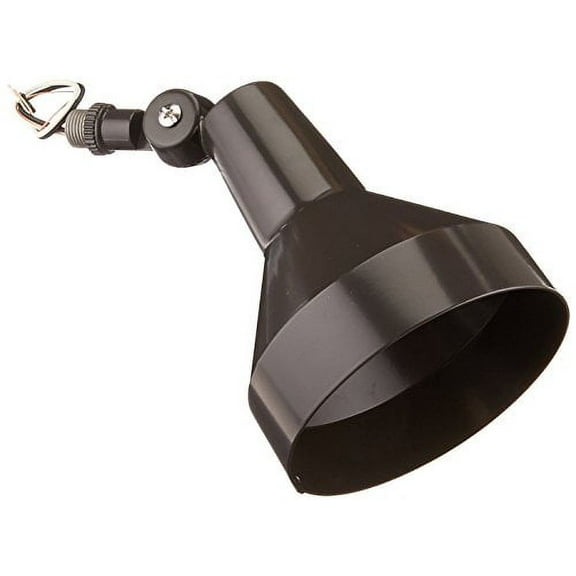 RAB Lighting H101A 150-watt Max. Par38 Landscape Lighting Flood Fixture 120-volt, Bronze