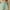 Green, variant on Itsame Women's Cotton Linen Shorts, Solid Color Comfy Elastic Wide Leg Casual Shorts Gray