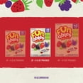 thumbnail image 6 of Funables Fruity Snacks, Mixed Berry Flavored Snacks, 0.8 oz, 22 Count, 6 of 12