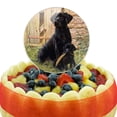 thumbnail image 5 of Acrylic Black Labrador Retriever Dog Puppy Cake Topper Party Decoration for Wedding Anniversary Birthday Graduation, 5 of 7