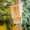 thumbnail image 5 of Outdoor Bat House Bat Habitat Box Wooden Decorative Bat Box Shelter Nest Garden Bat Ho y10101, 5 of 6