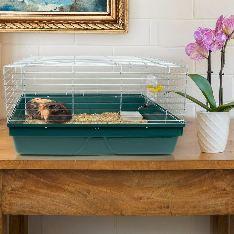 Hamster starter kit walmart hotsell