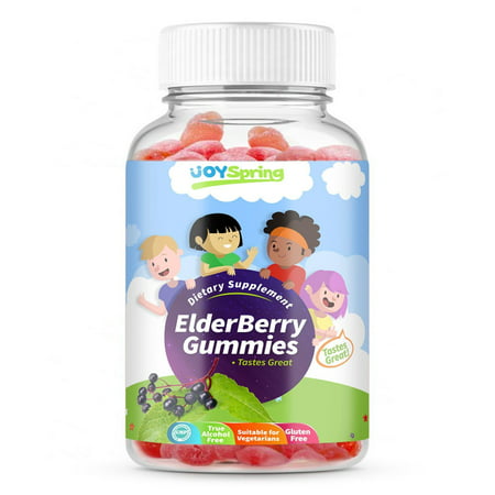 Elderberry Gummies for Kids - Best Tasting Cold and Flu Vitamins - Vitamin C, Echinacea & Propolis (What's The Best Medicine For A Cold)