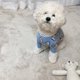 thumbnail image 5 of Ropa para perros patrón lindo espesor moderado suave cómodo suéter para perros pequeños para primavera otoño, 5 of 8