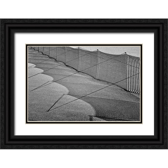 Ebert, Steffen 14x11 Black Ornate Wood Framed with Double Matting Museum Art Print Titled - Sand Drift Barrier 3